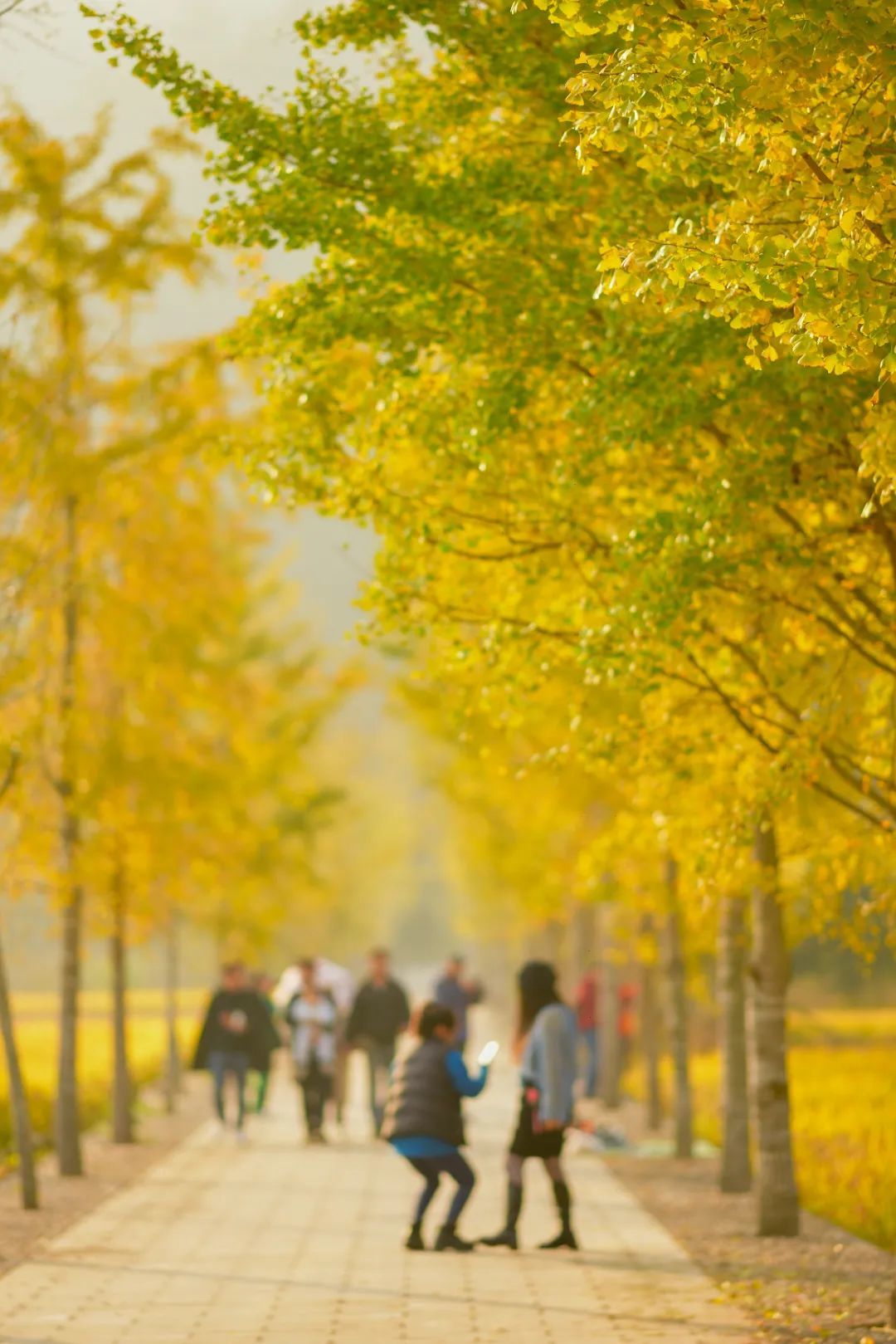 再存几张老家的照片13