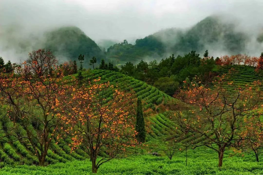 再存几张老家的照片15
