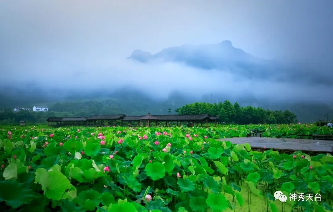 再存几张老家的照片18