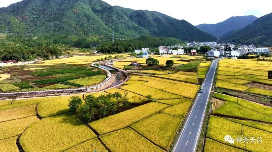 再存几张老家的照片19