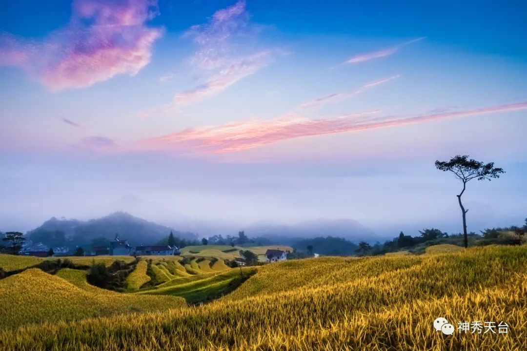 再存几张老家的照片20