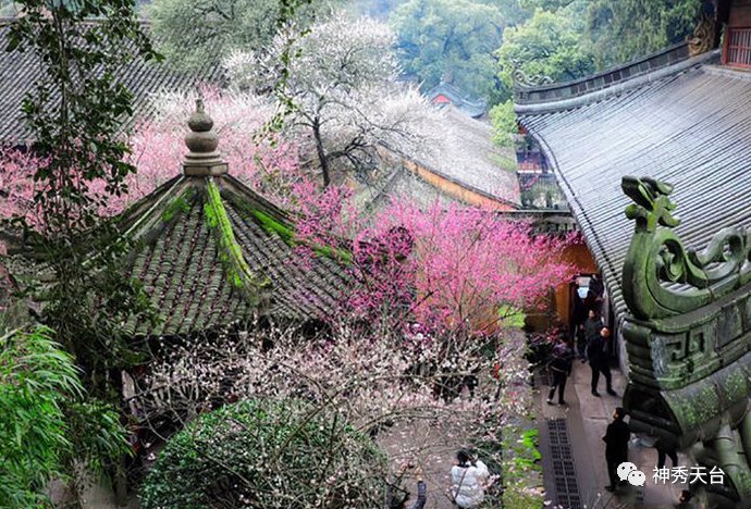 再存几张老家的照片7