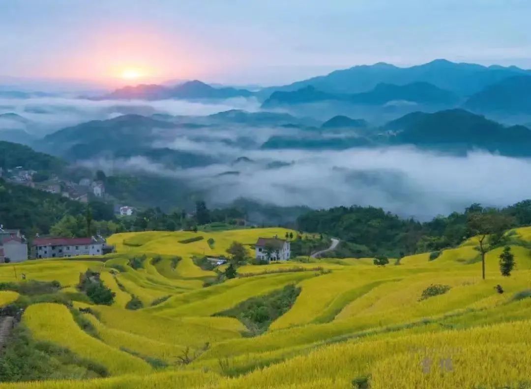 再存几张老家的照片9