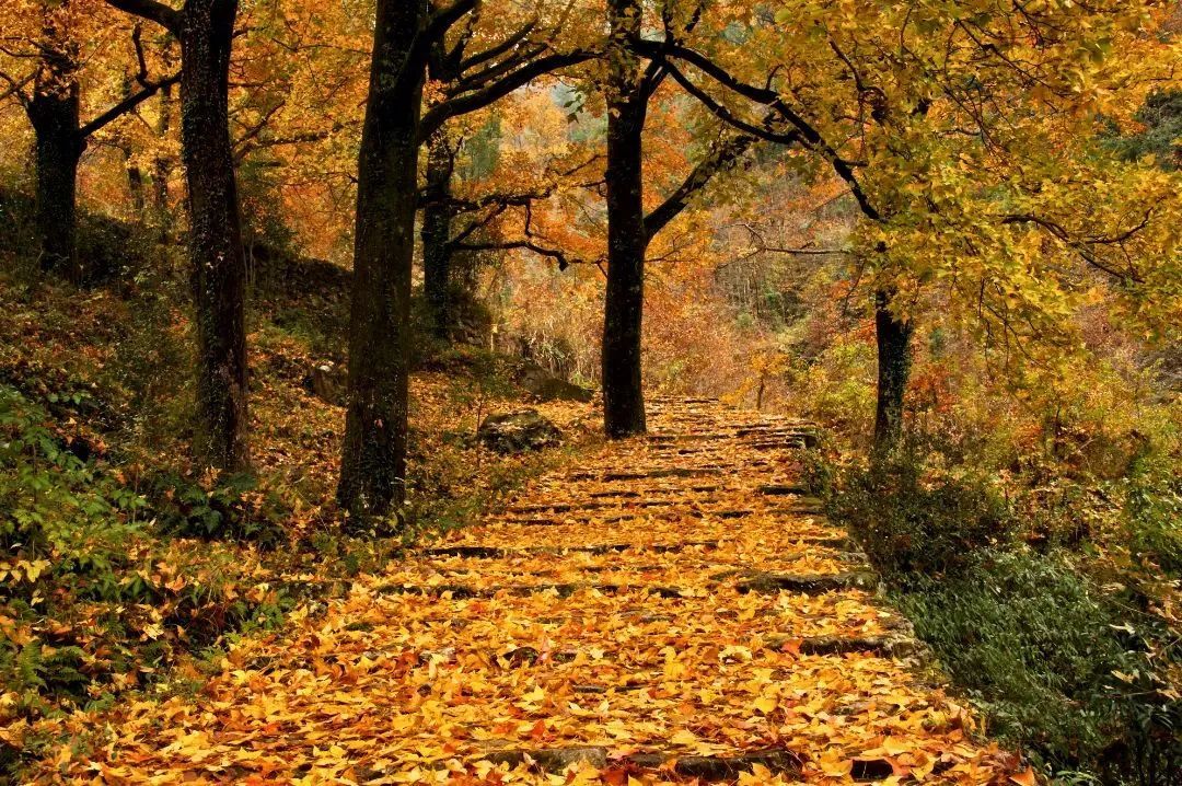 再存几张老家的照片11