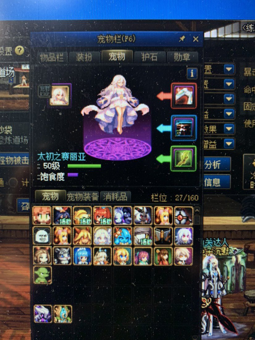 宠物右没有重影1