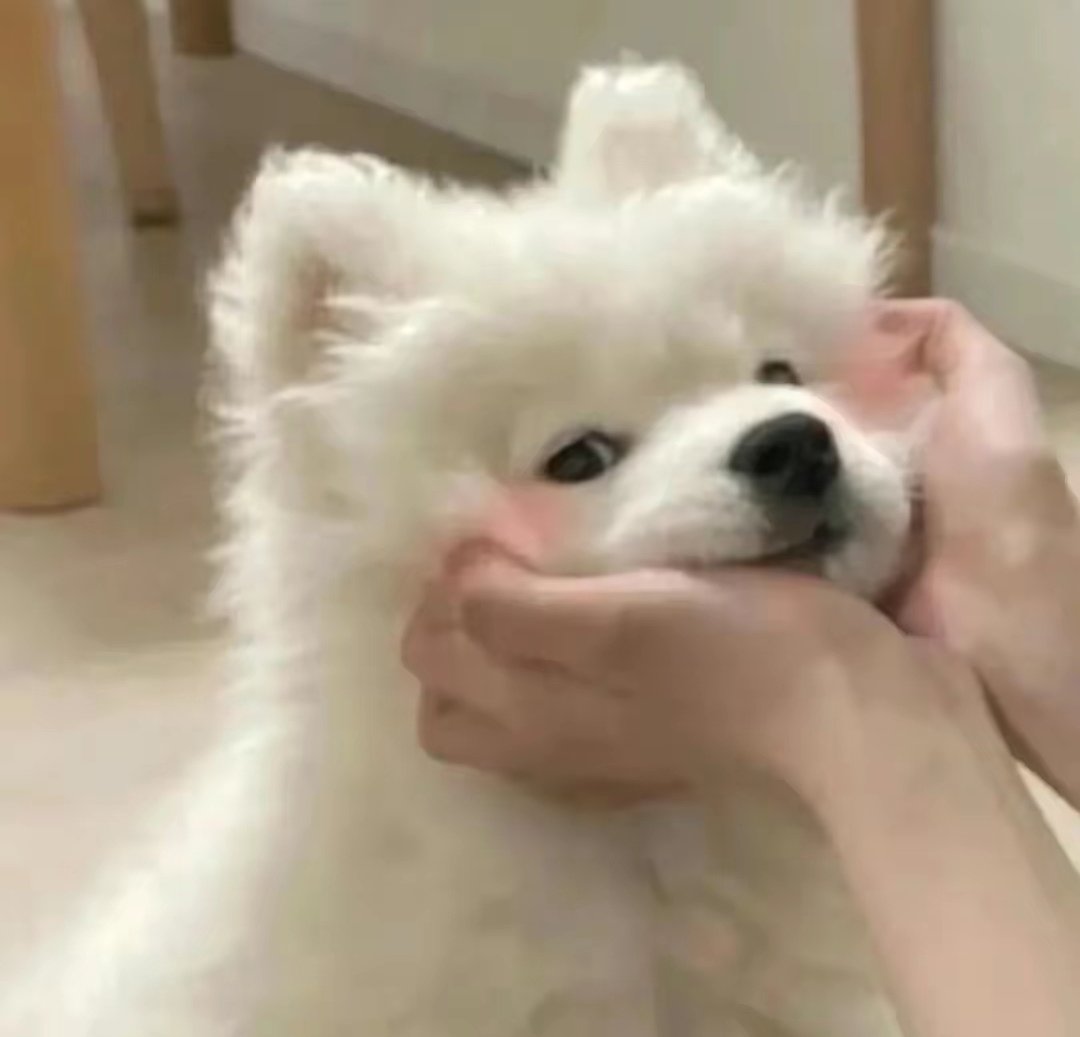 看看大伙的燃武散搭2