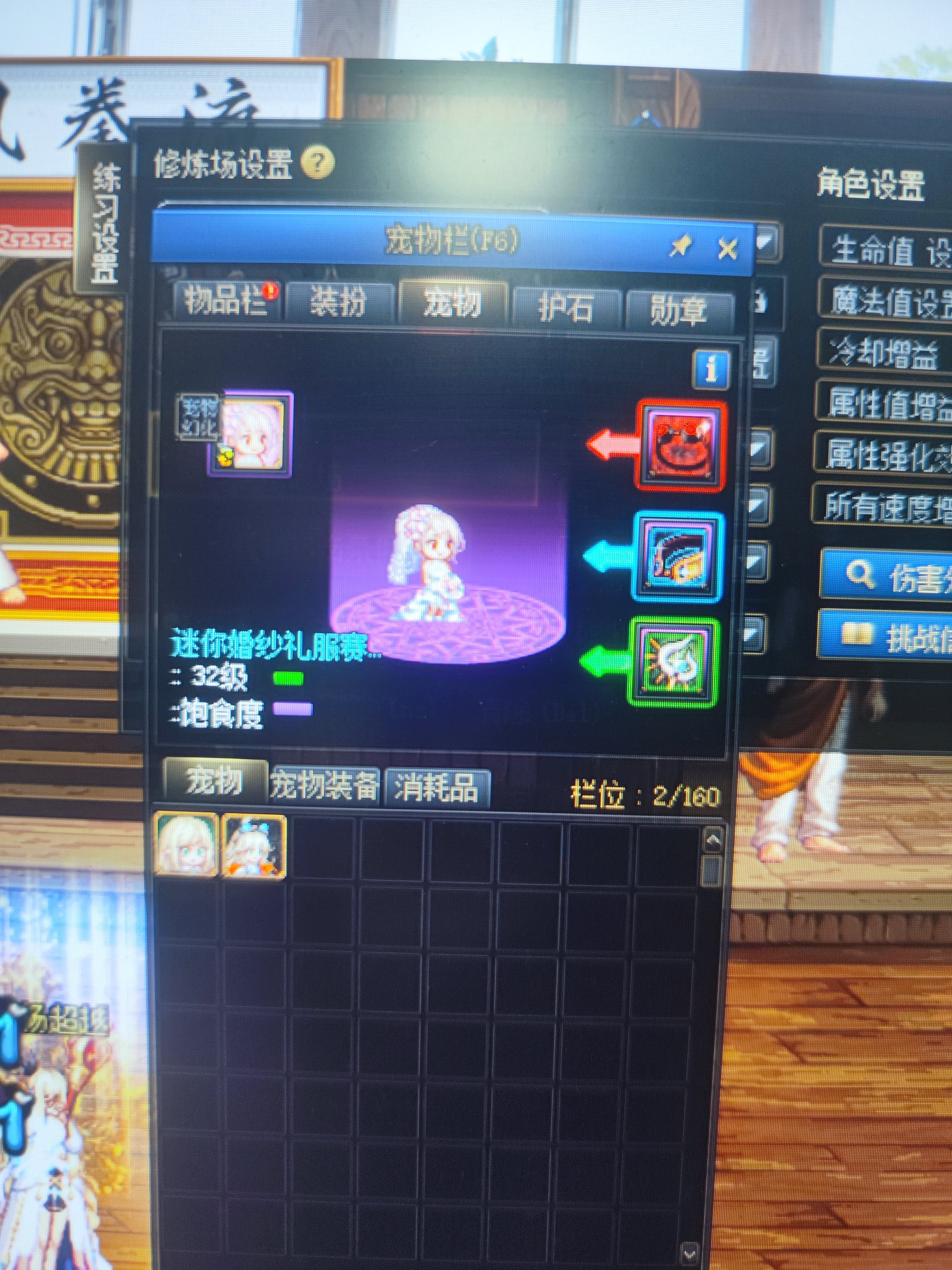 奶妈奶宠放不出技能，求助1