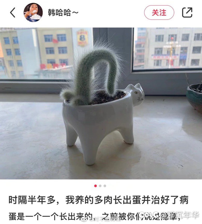 图图又来了！！！2