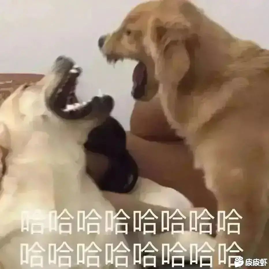 一个回调和13就完事了1