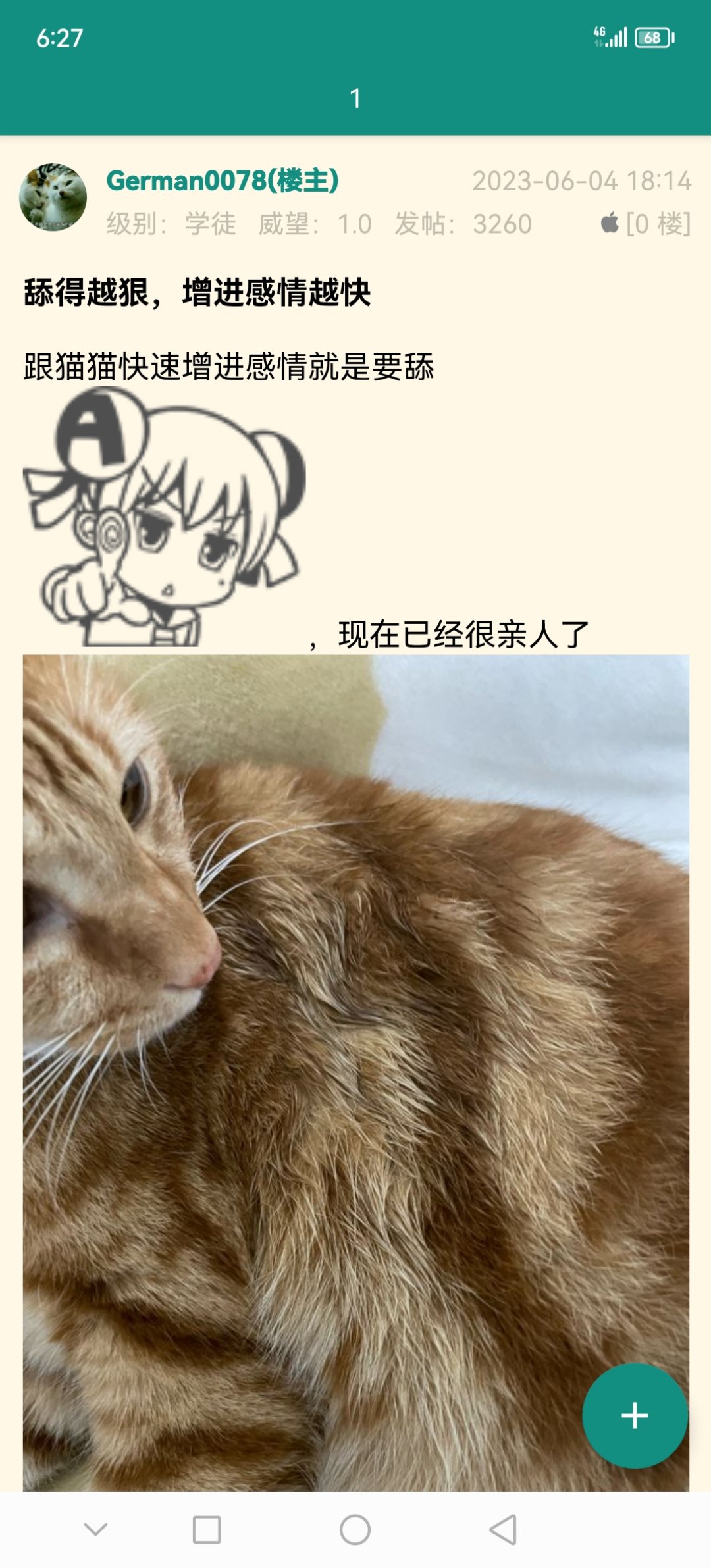 今日猫猫6.171