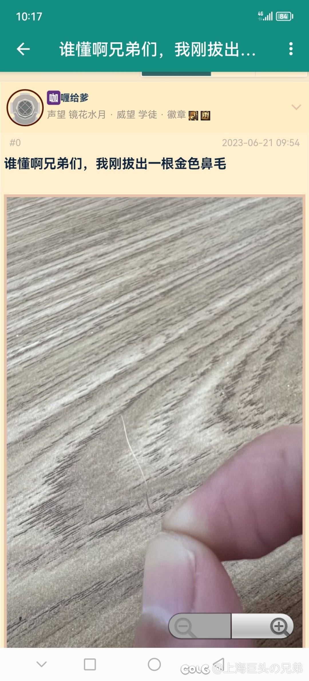 来看金色传说1