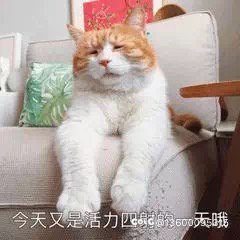 现在巴卡尼还能冰龙跳车吗？1