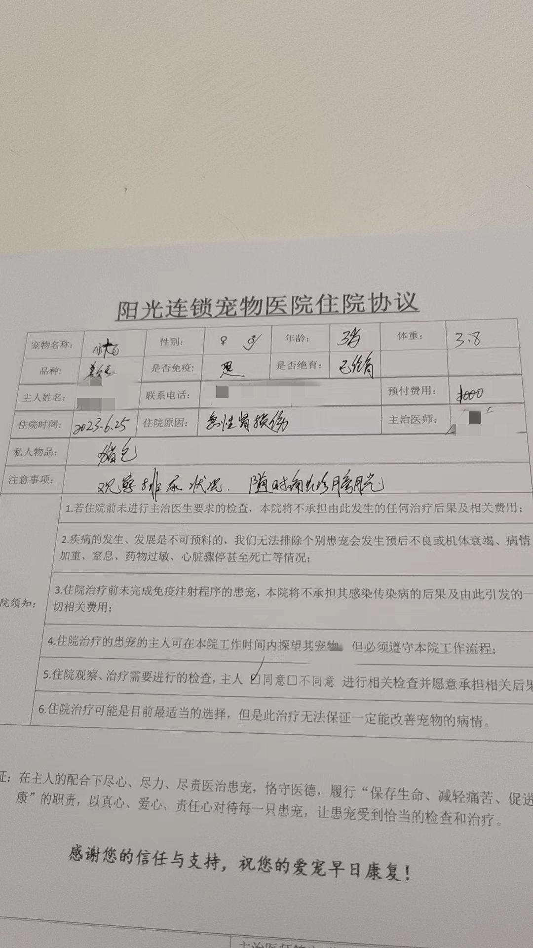 猫猫走了1