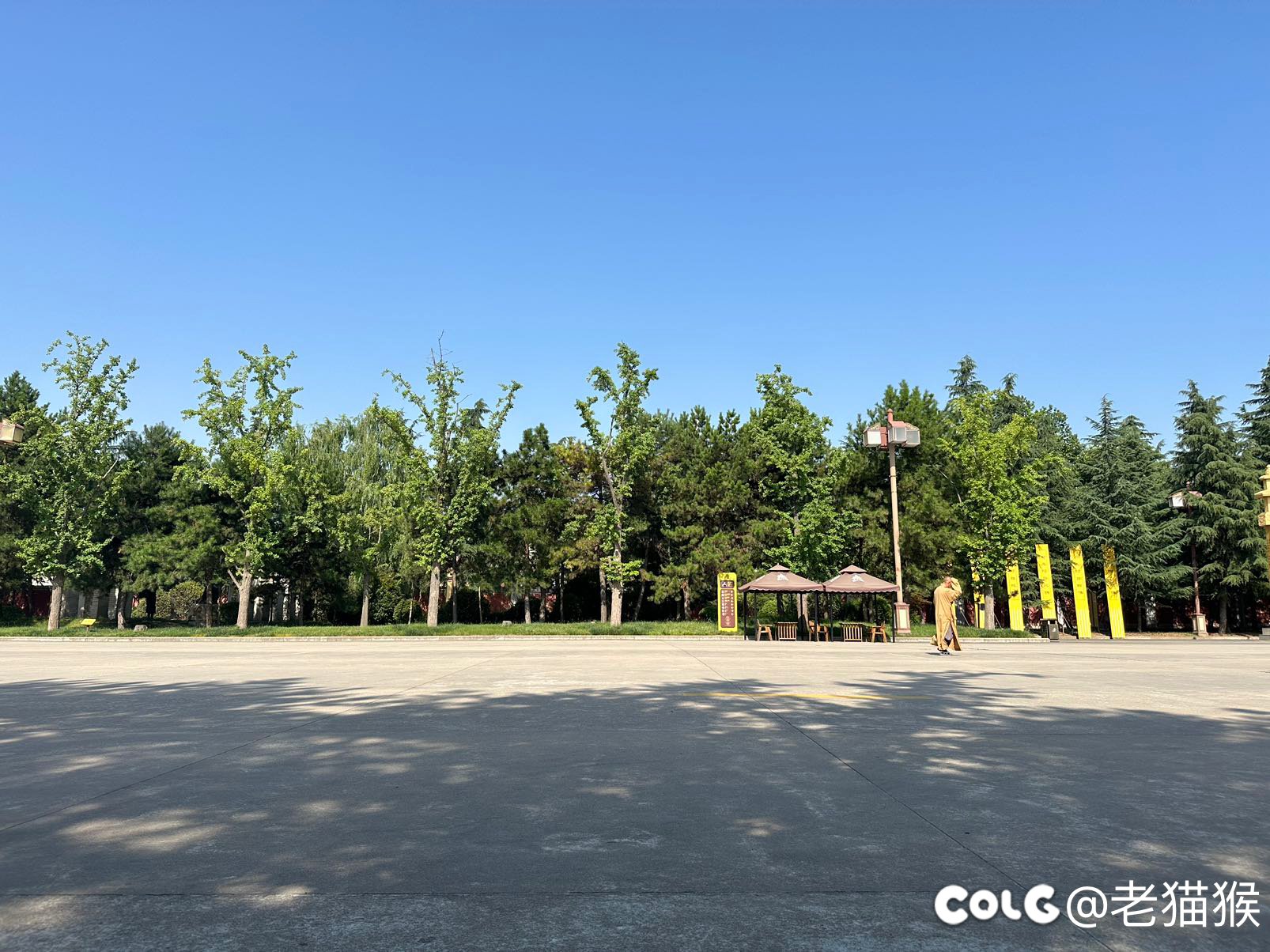 早上好啊师傅1