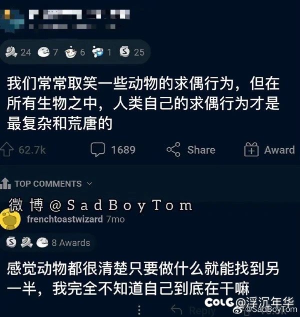 图图又来了！！！1