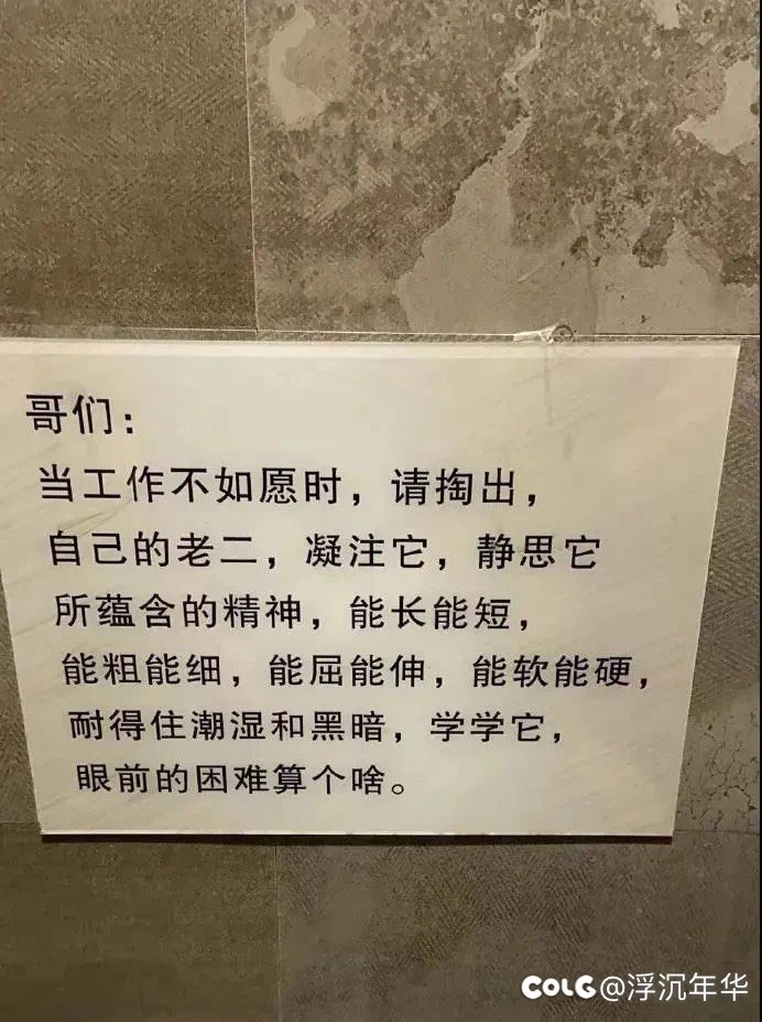图图来了！！！2