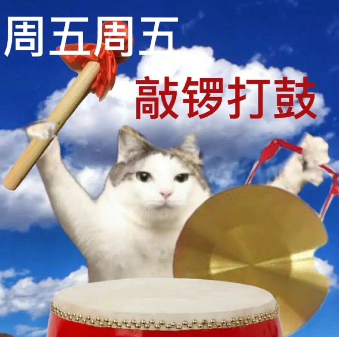 我超，活动的自定义盒子开出四词条2
