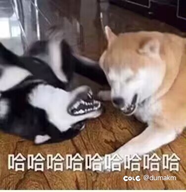特工是啥东西 恶心啊4