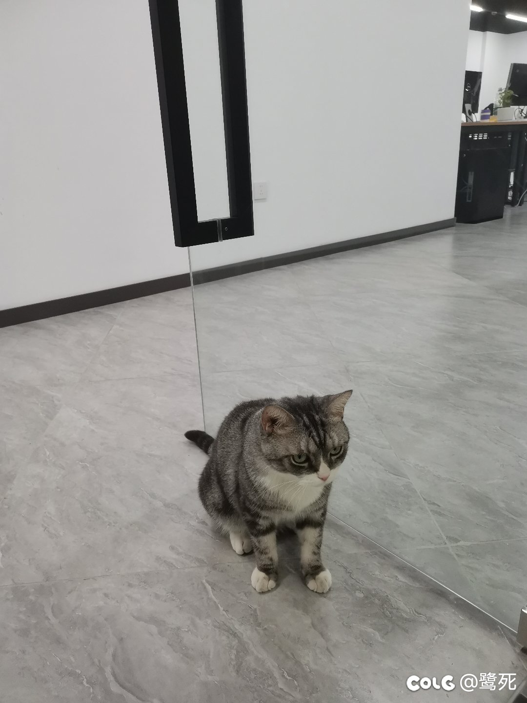 从养🐱公司跳槽到乙方公司了1