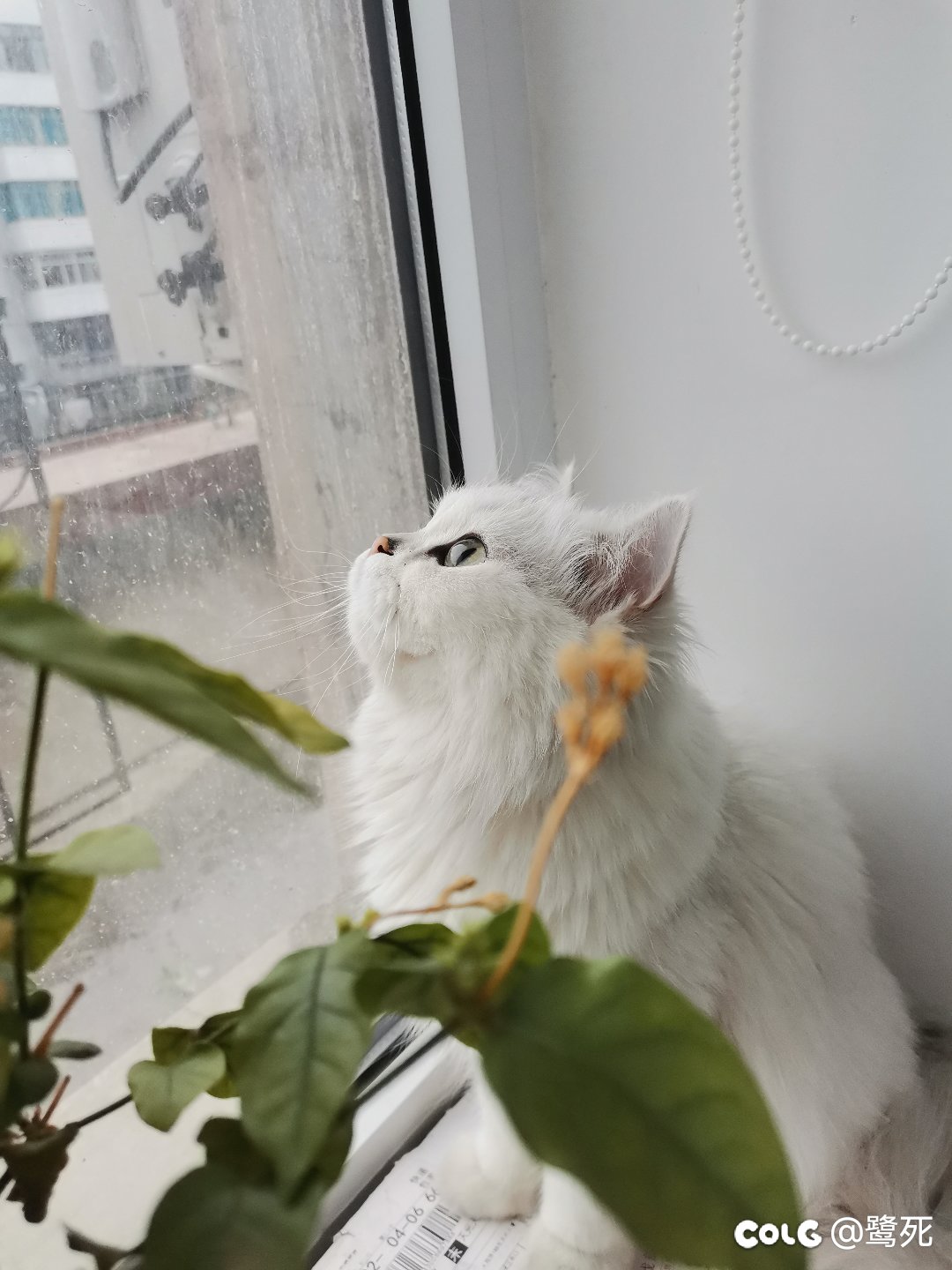 从养🐱公司跳槽到乙方公司了2