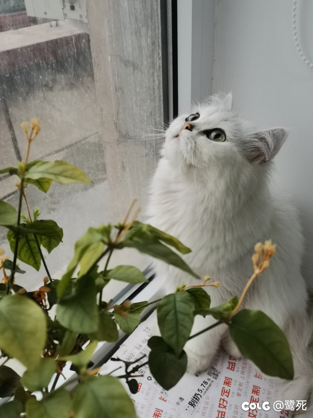 从养🐱公司跳槽到乙方公司了3