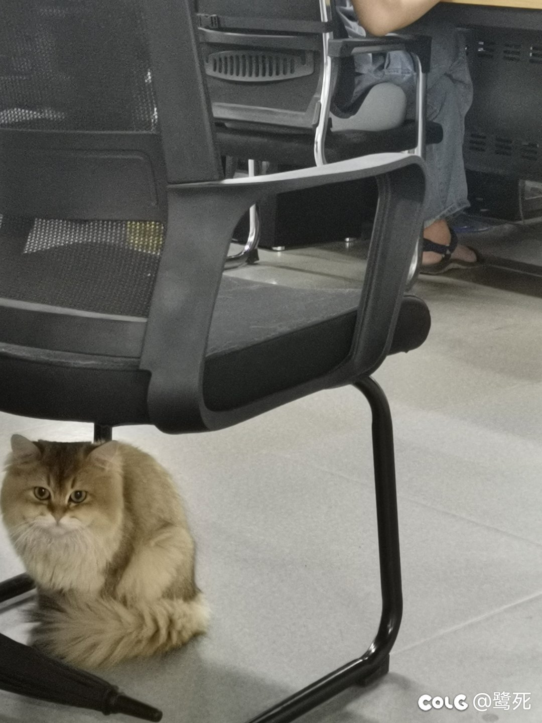 从养🐱公司跳槽到乙方公司了5