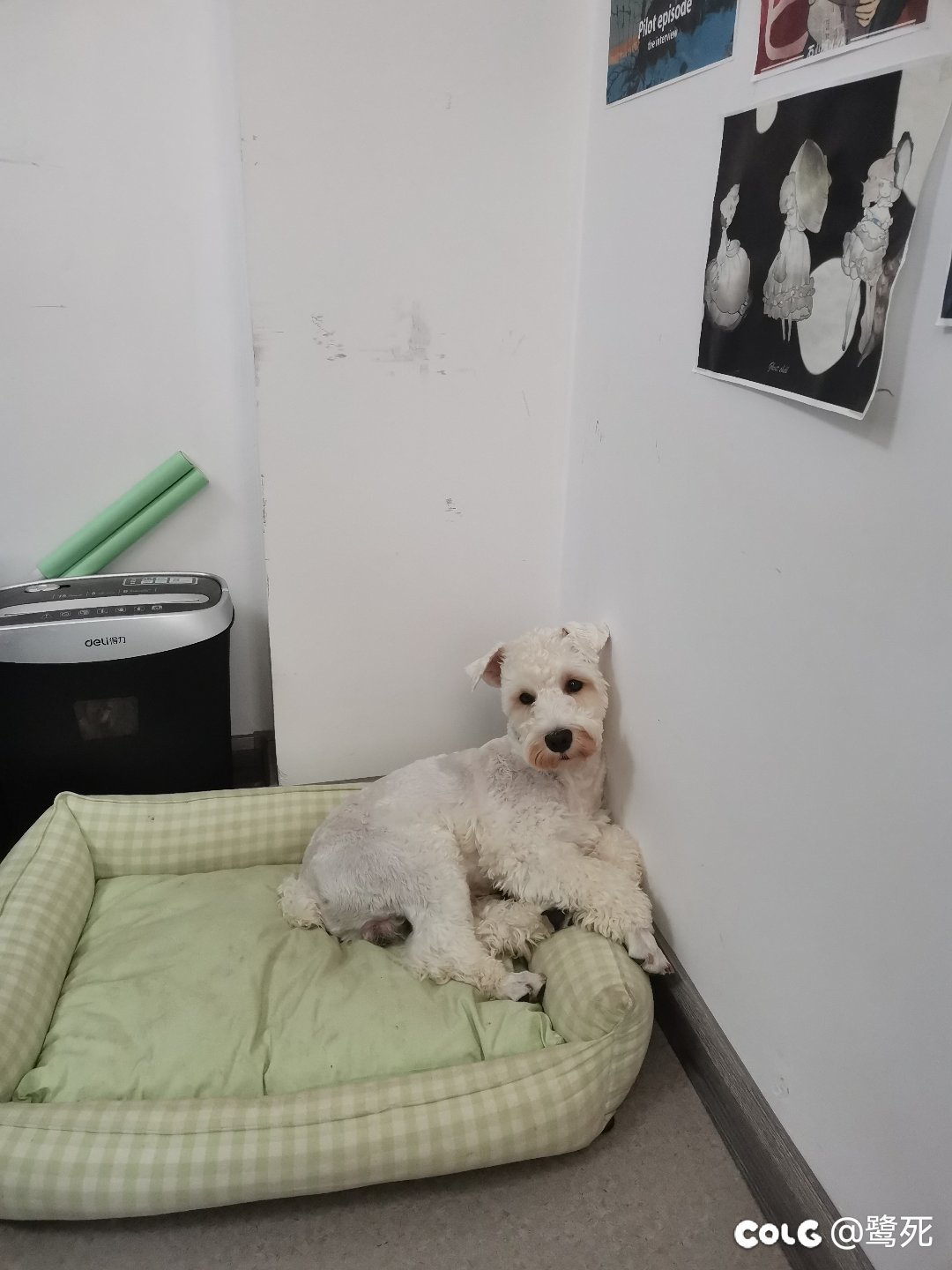 从养🐱公司跳槽到乙方公司了6