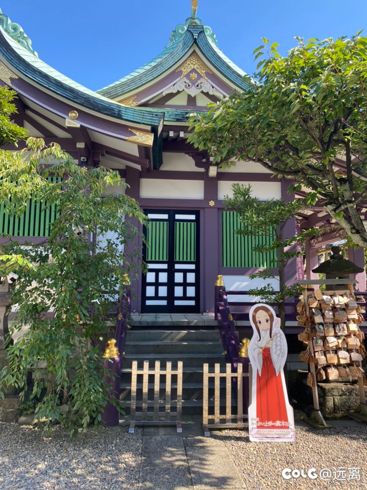 从日本回来啦 随便发点图2