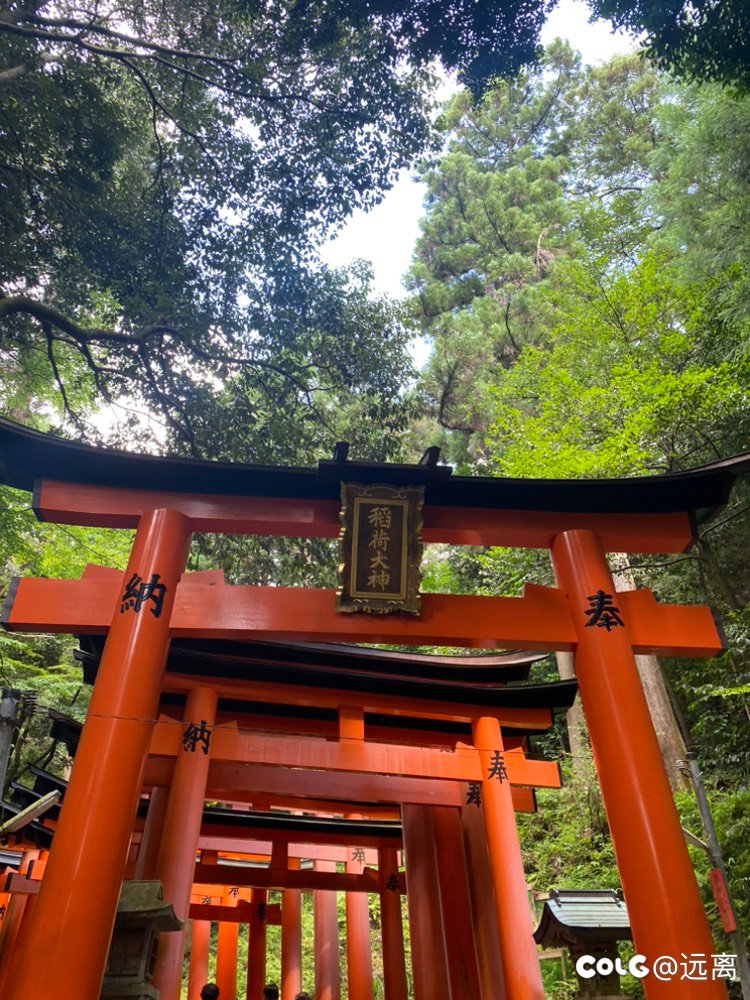 从日本回来啦 随便发点图9