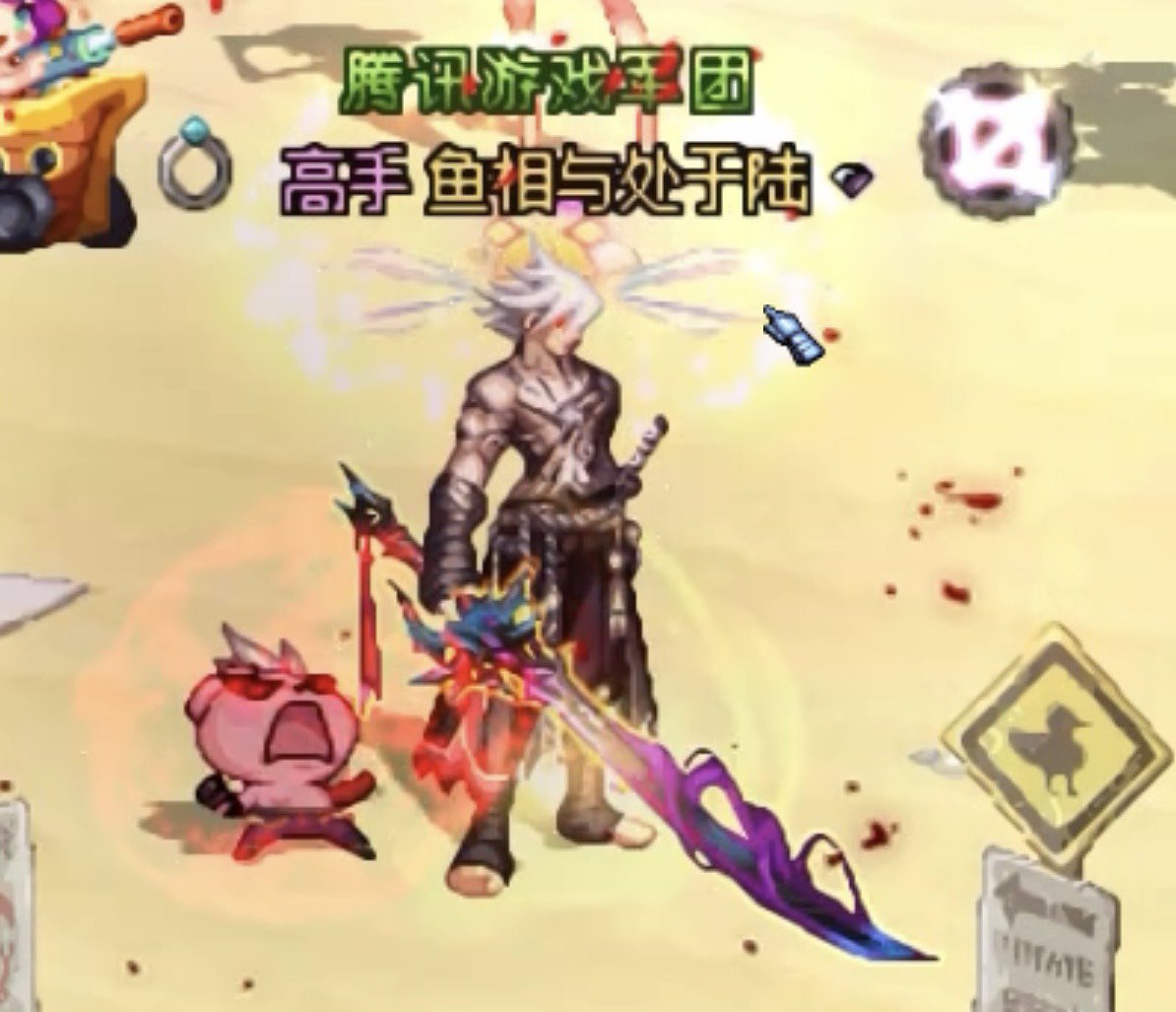说到宠物那不得不提冷兔啦2