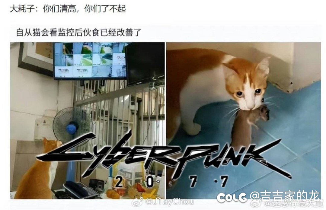 我的游戏生涯里已经不能没有dnf了1