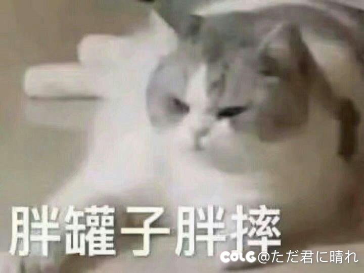 每周糖（凑字数捏）4