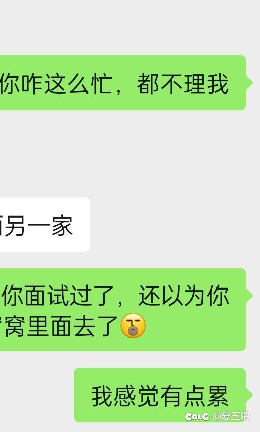 可能被上岸第一剑斩了，终于回消息了2
