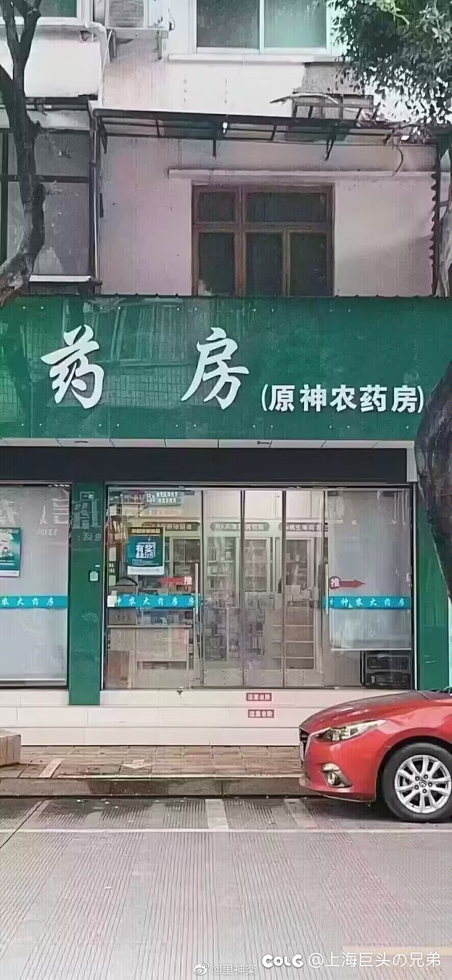 来看🐦图1