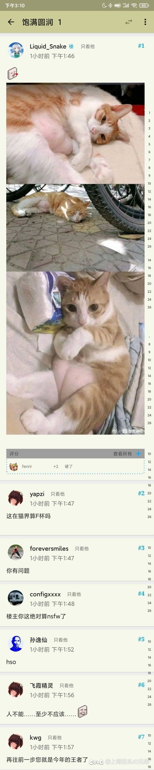 今日猫猫7.51