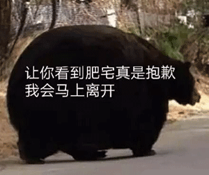没有完美右槽，我很抱歉1