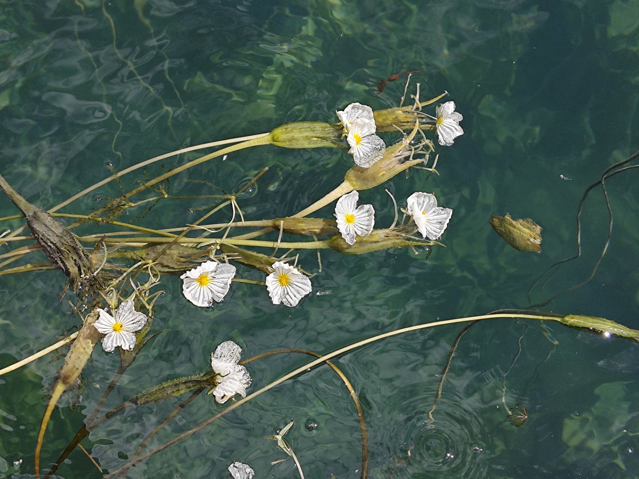 你这水性杨花1