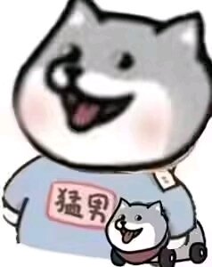 23年宠物莫名其妙变成神器克隆了2