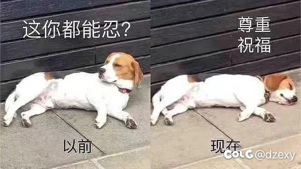 《攻速鞋之为什么我吃不到第三档》2