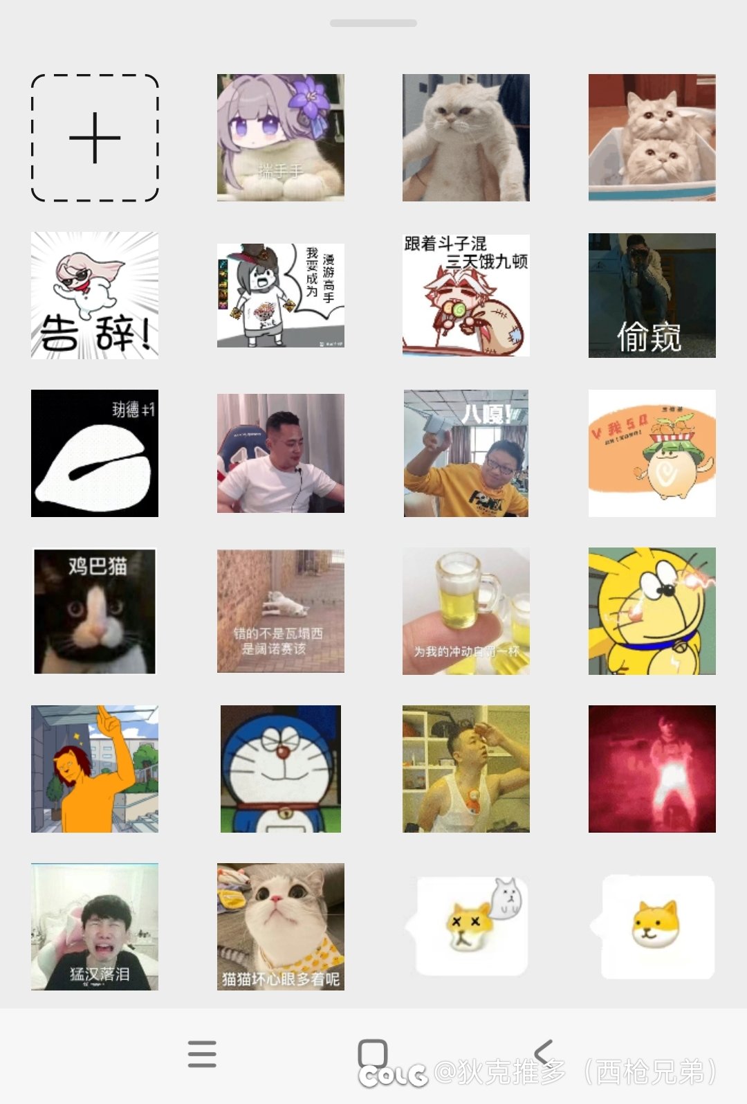 突击检查！以下哪个表情包不能给妹子发1