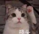 游戏币比例就这么离谱了吗，全是不能说的那个词在刷金，这是要凉的节奏？1