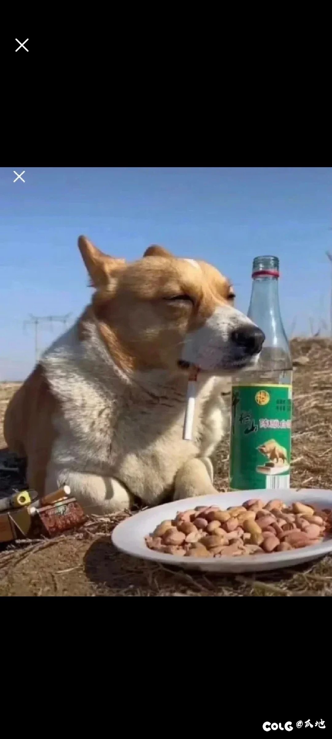 萌新解答女气功阿修罗和肥宗的晶之契约选择1