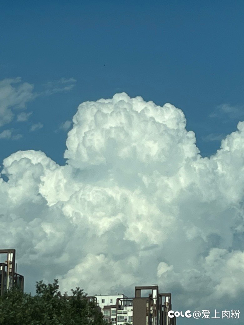 混积分啦啊啊啊啊1