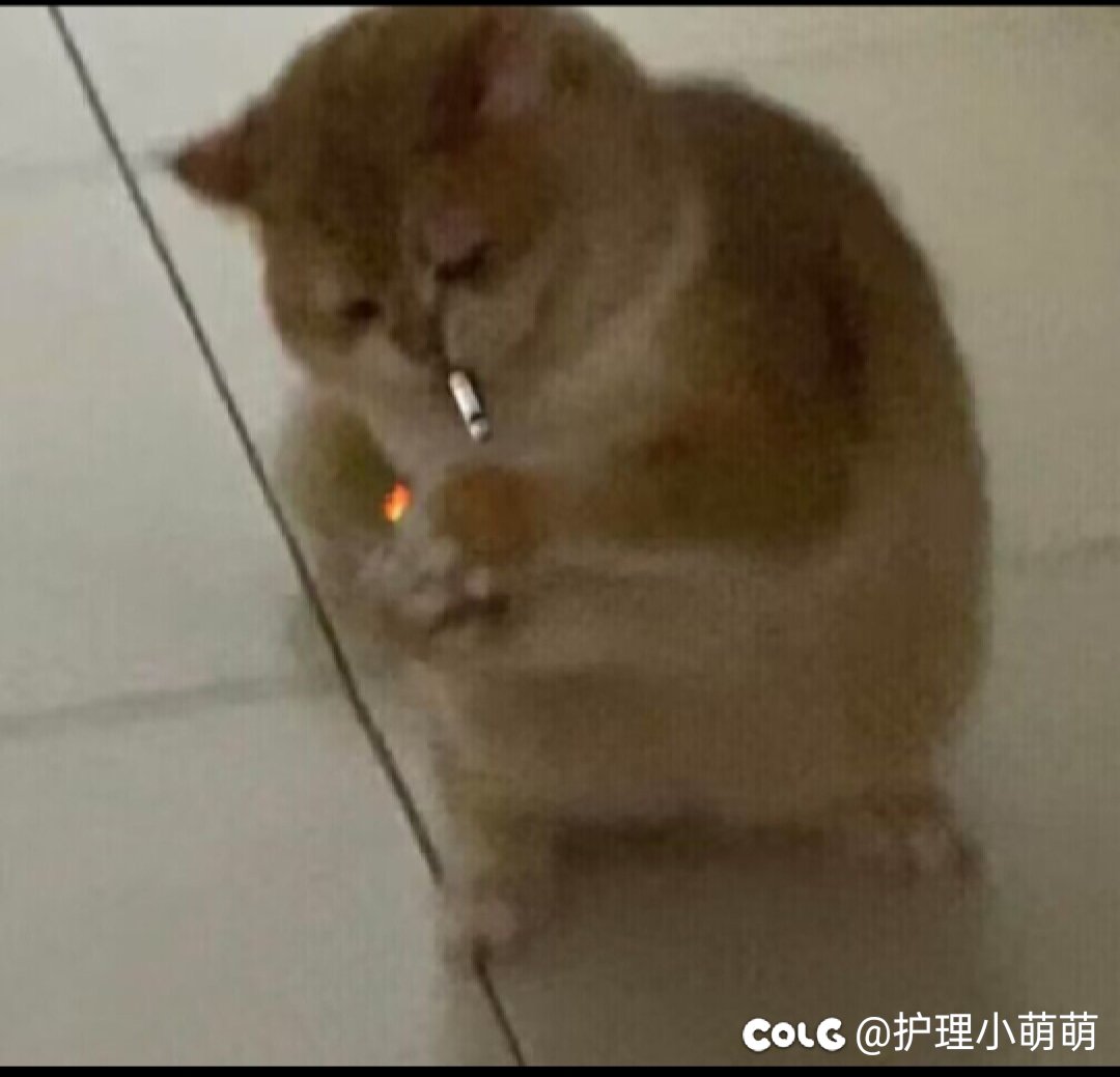 各路大神巨宗到底该怎么玩1