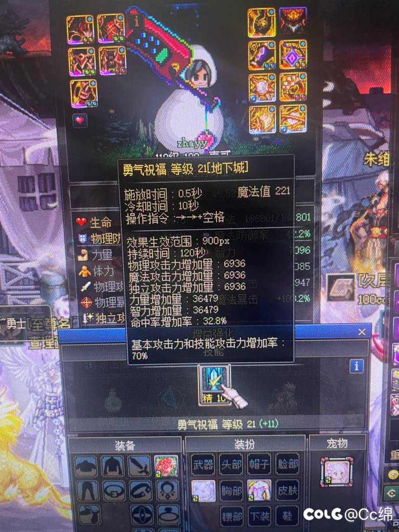 关于奶系职业buff换装的问题1