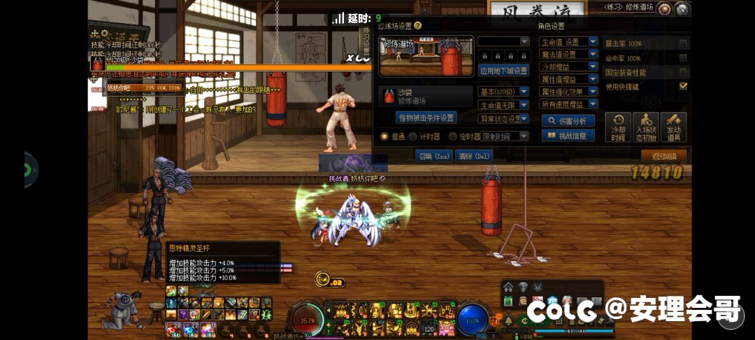 问问这个自定义可以用吗2