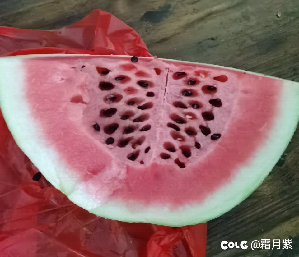 【密恐注意】群友发的西瓜1
