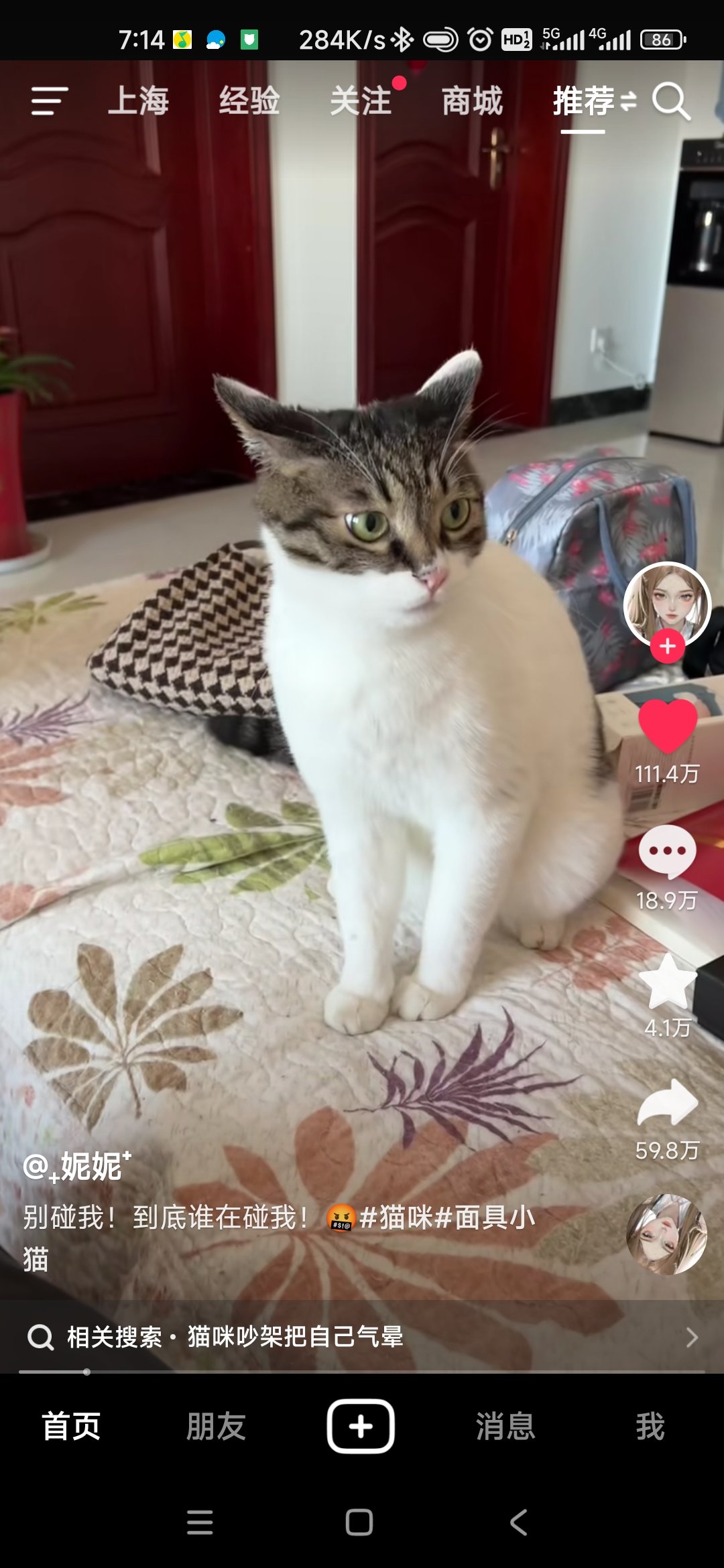 这只猫怎么回事1