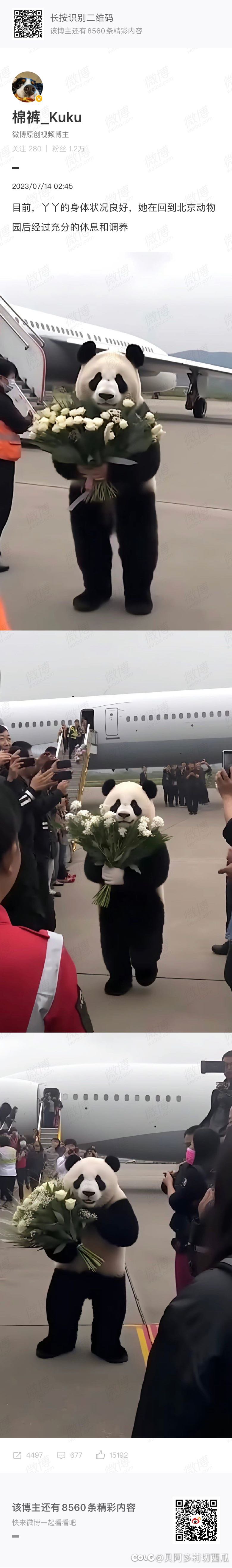 目前，丫丫的身体状况良好1