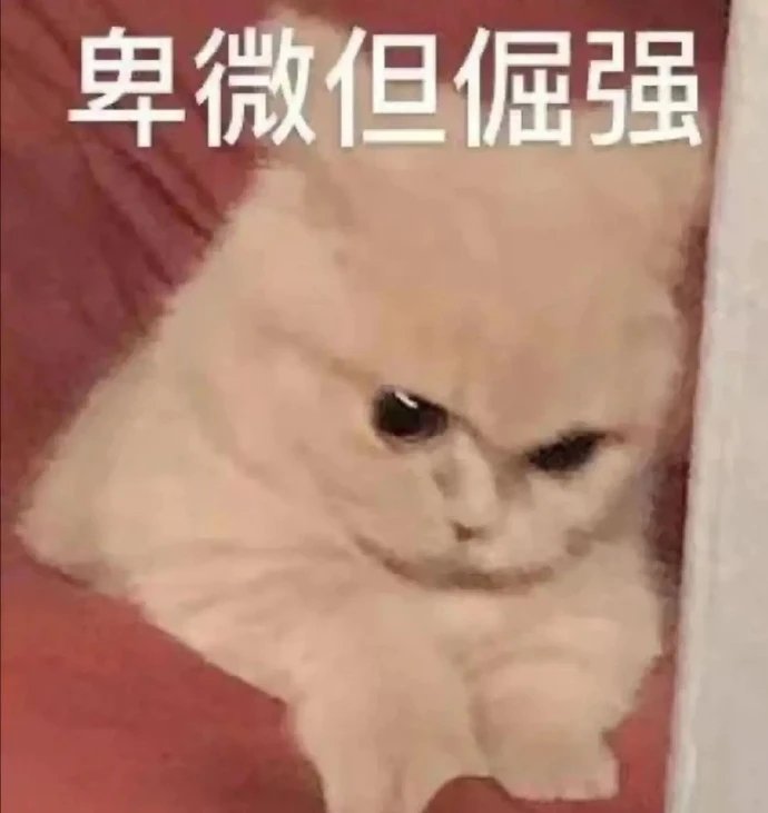 糖，前10，，，，1